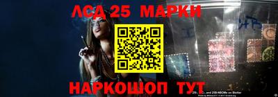 винт Кимры